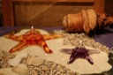 Starfish Oil Lamps.
